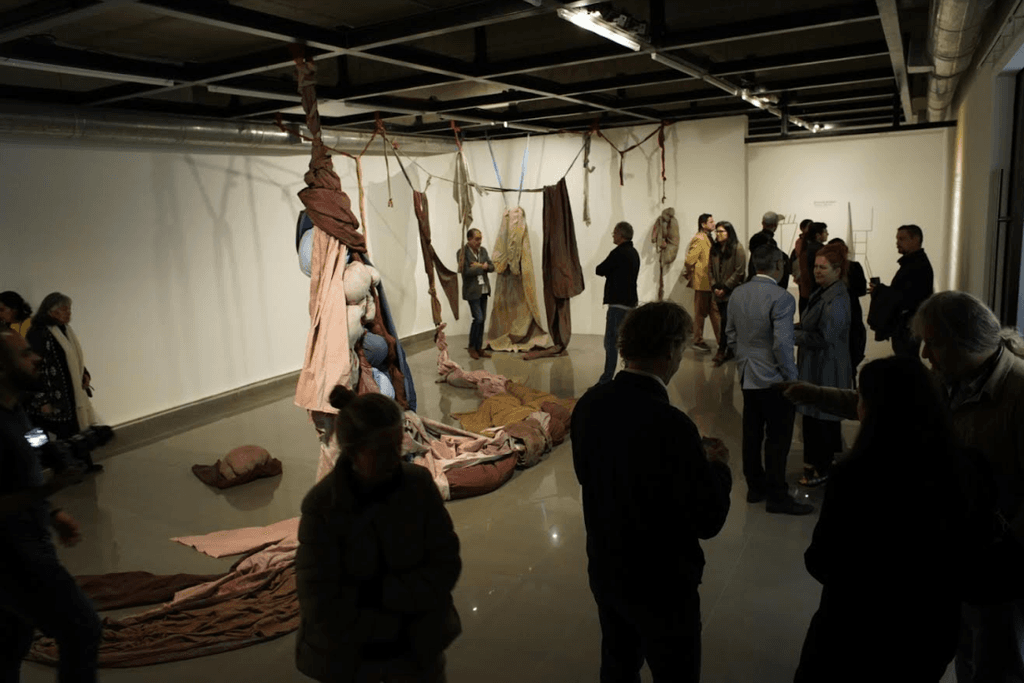 bienal saco2 bienal saco2