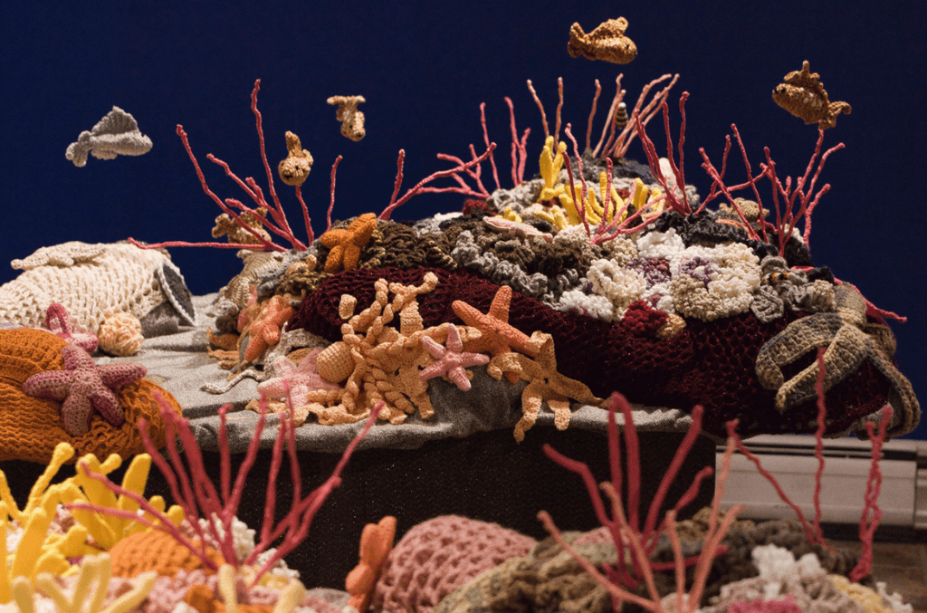 imagen_2024-03-28_121430002 imagen_2024-03-28_121430002