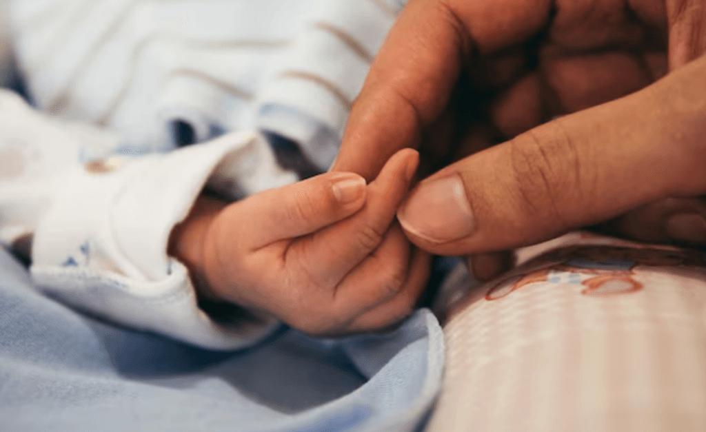 imagen_2024-09-26_105149737 imagen_2024-09-26_105149737