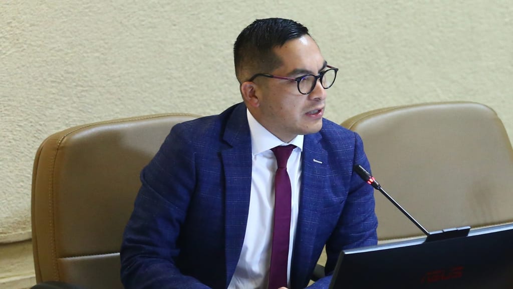 diputado videla diputado videla