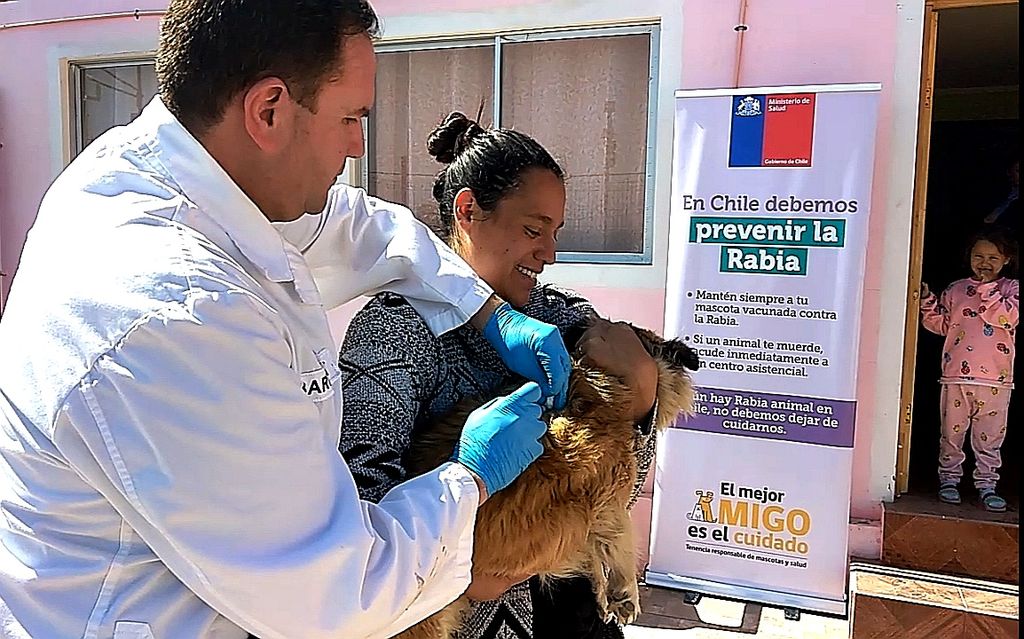 Mascotas rabia Mascotas rabia