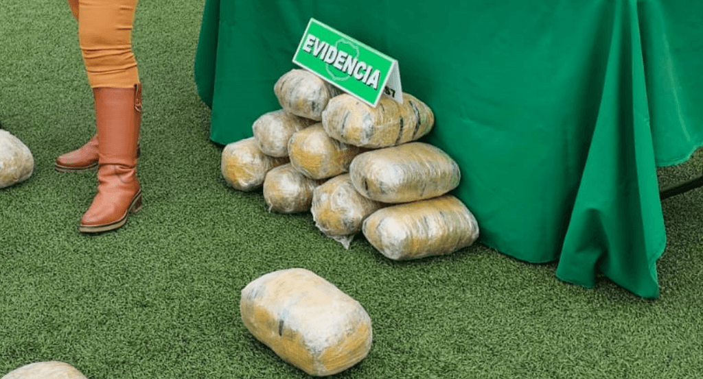 imagen_2024-10-07_104821714 imagen_2024-10-07_104821714