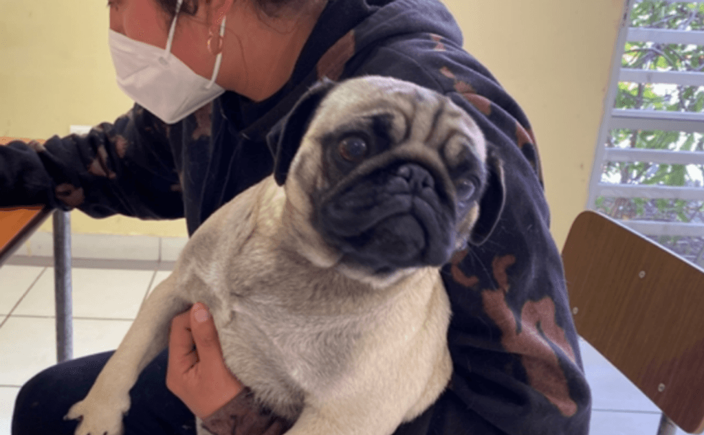 imagen_2024-04-10_135009556 imagen_2024-04-10_135009556