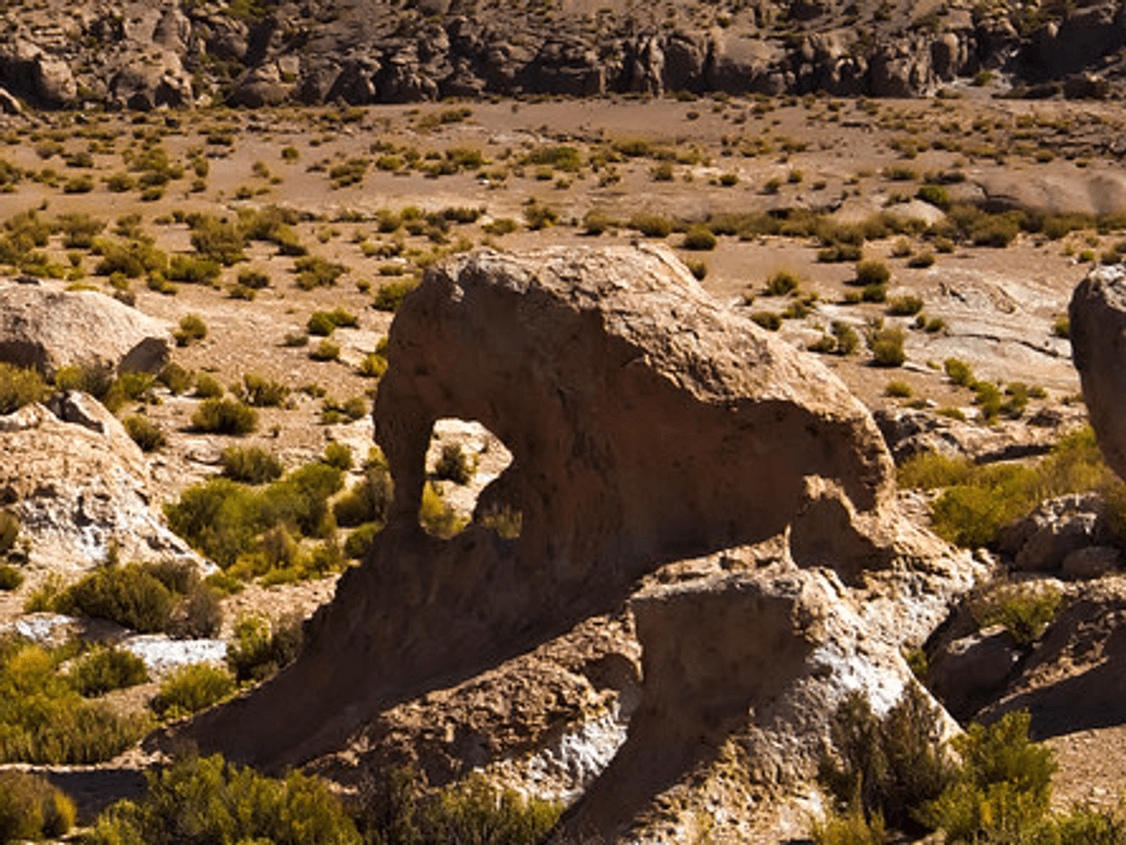 elefante coska elefante coska