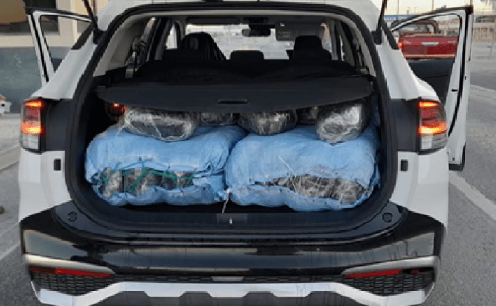 imagen_2023-11-29_174354225 imagen_2023-11-29_174354225