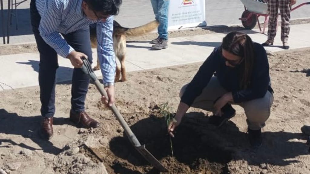 CONAF Tarapacá CONAF Tarapacá