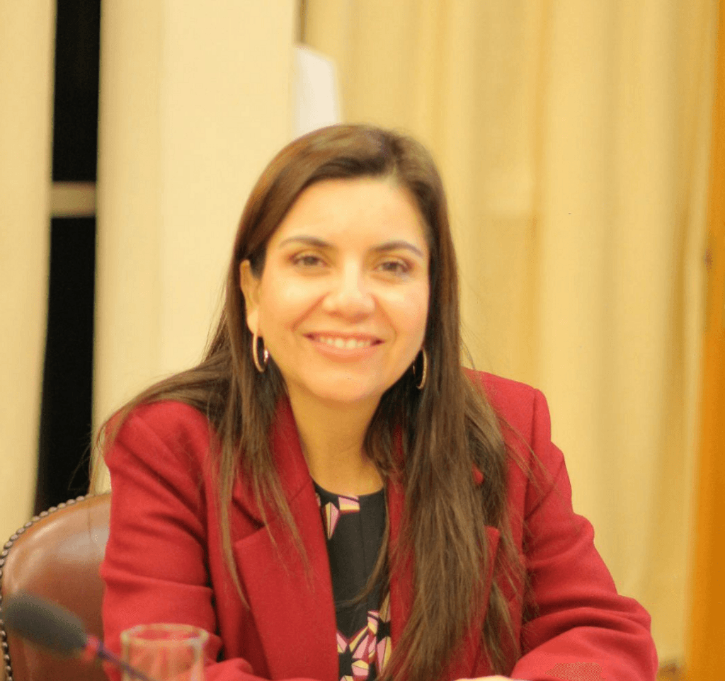 Diputada Danisa Astudillo Diputada Danisa Astudillo