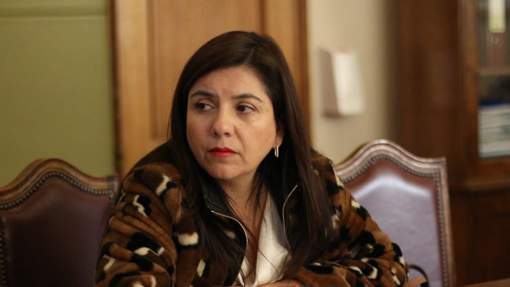 Diputada Danisa Astudillo Diputada Danisa Astudillo