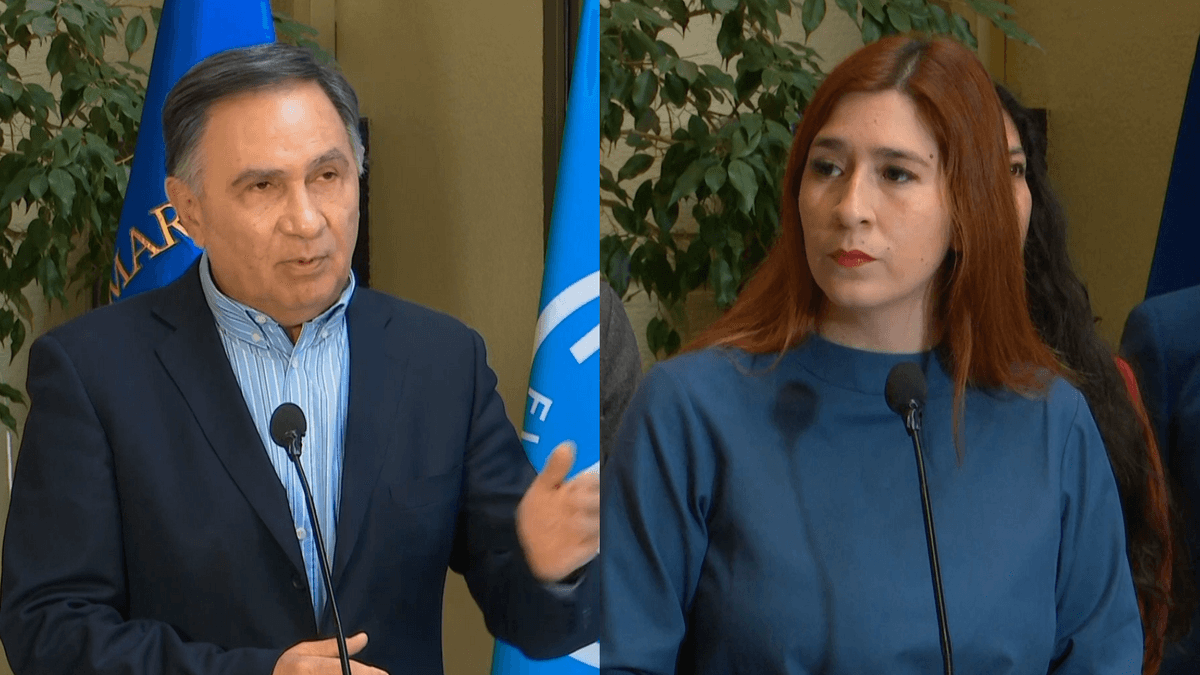 Diputada Pérez / Diputado Mellado Diputada Pérez / Diputado Mellado