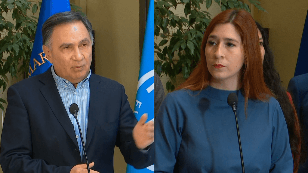 Diputada Pérez / Diputado Mellado Diputada Pérez / Diputado Mellado