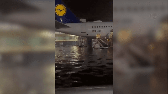 Aeropuerto  Frankfurt Aeropuerto  Frankfurt