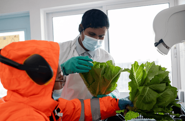 Screenshot 2025-11-20 092307 Screenshot 2025-11-20 092307