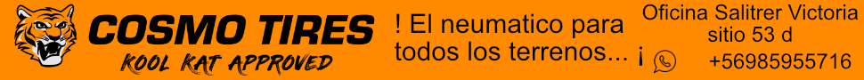 banner1 banner1