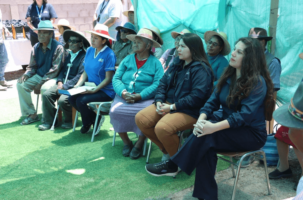 Screenshot 2026-01-20 203344 Screenshot 2026-01-20 203344