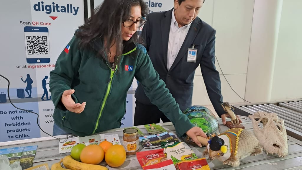 SAG Tarapacá SAG Tarapacá