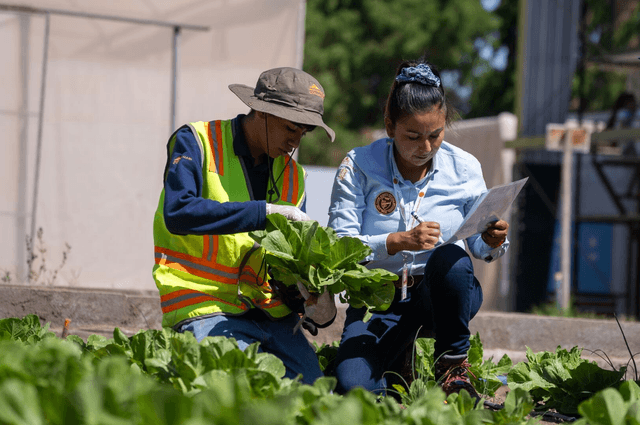 Captura de pantalla 2025-06-29 a la(s) 12 Captura de pantalla 2025-06-29 a la(s) 12