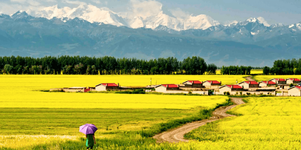 Captura de Pantalla 2024-03-11 a la(s) 12 Captura de Pantalla 2024-03-11 a la(s) 12