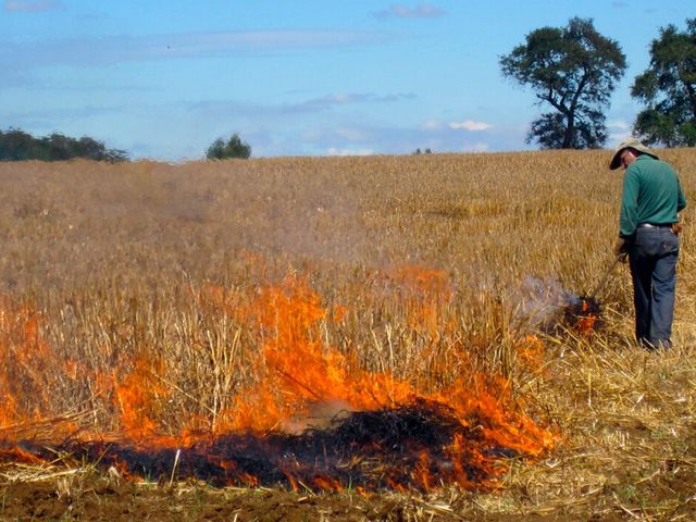 prohibición quemas prohibición quemas