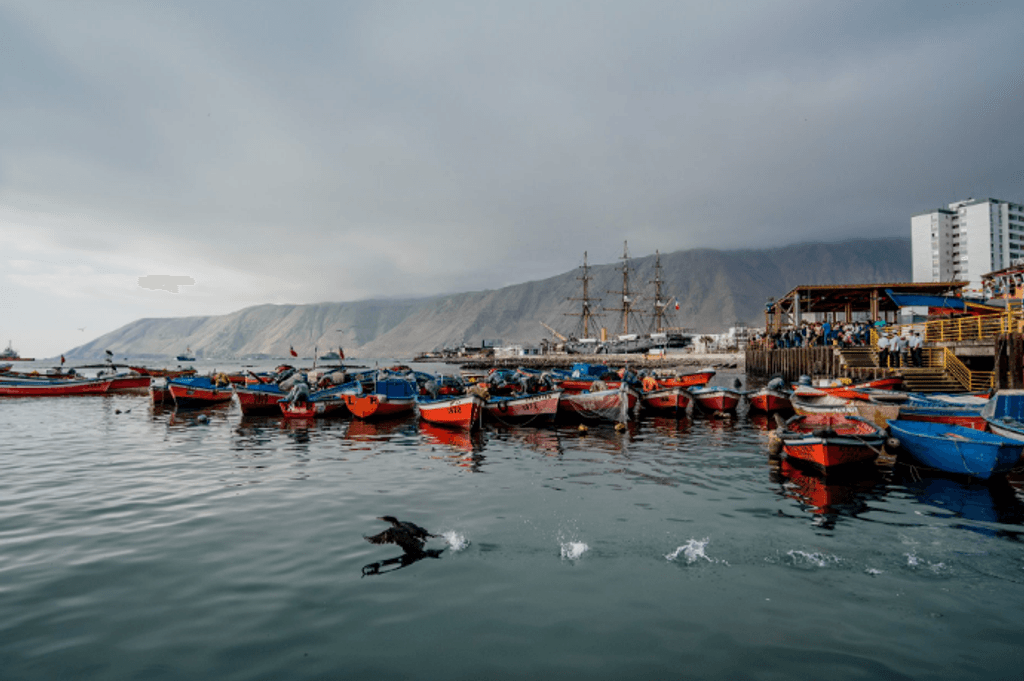 Caleta Riquelme, Iquique. Caleta Riquelme, Iquique.