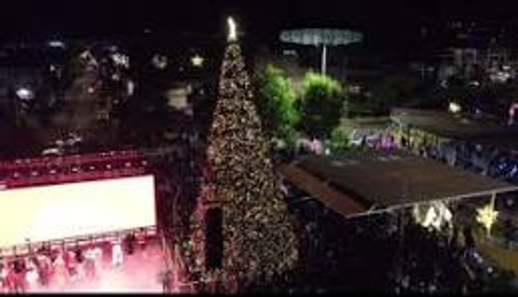 árbol navidad árbol navidad