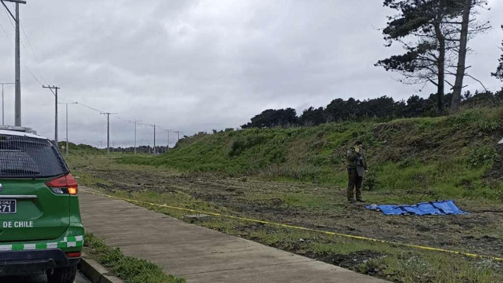 social-cadaver-san-pedro-1 social-cadaver-san-pedro-1