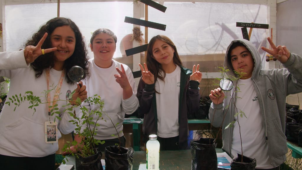 1ª Feria Interescolar de Educación Medioambiental 1ª Feria Interescolar de Educación Medioambiental