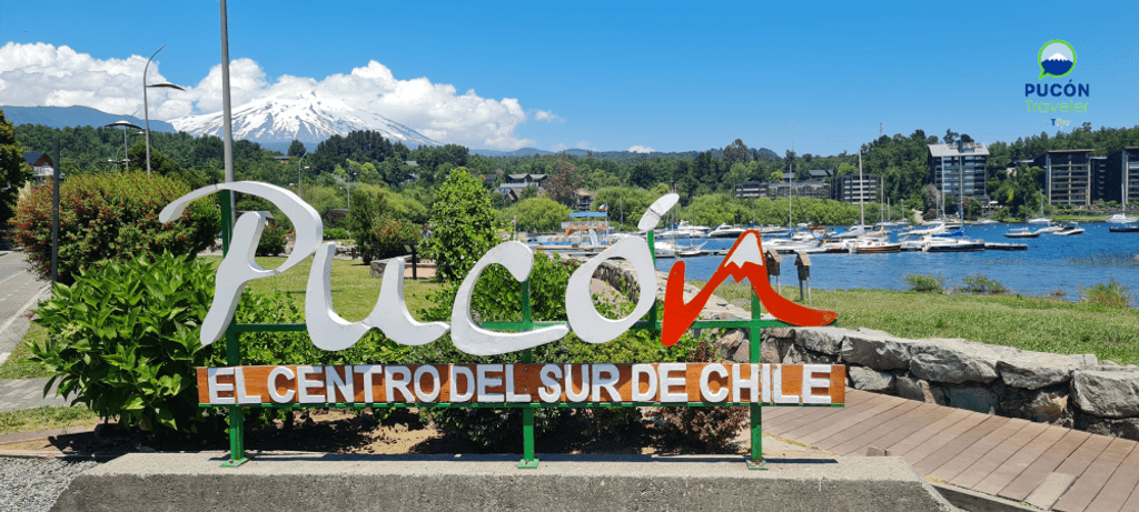 Untitled-1-e1734367536661 Untitled-1-e1734367536661