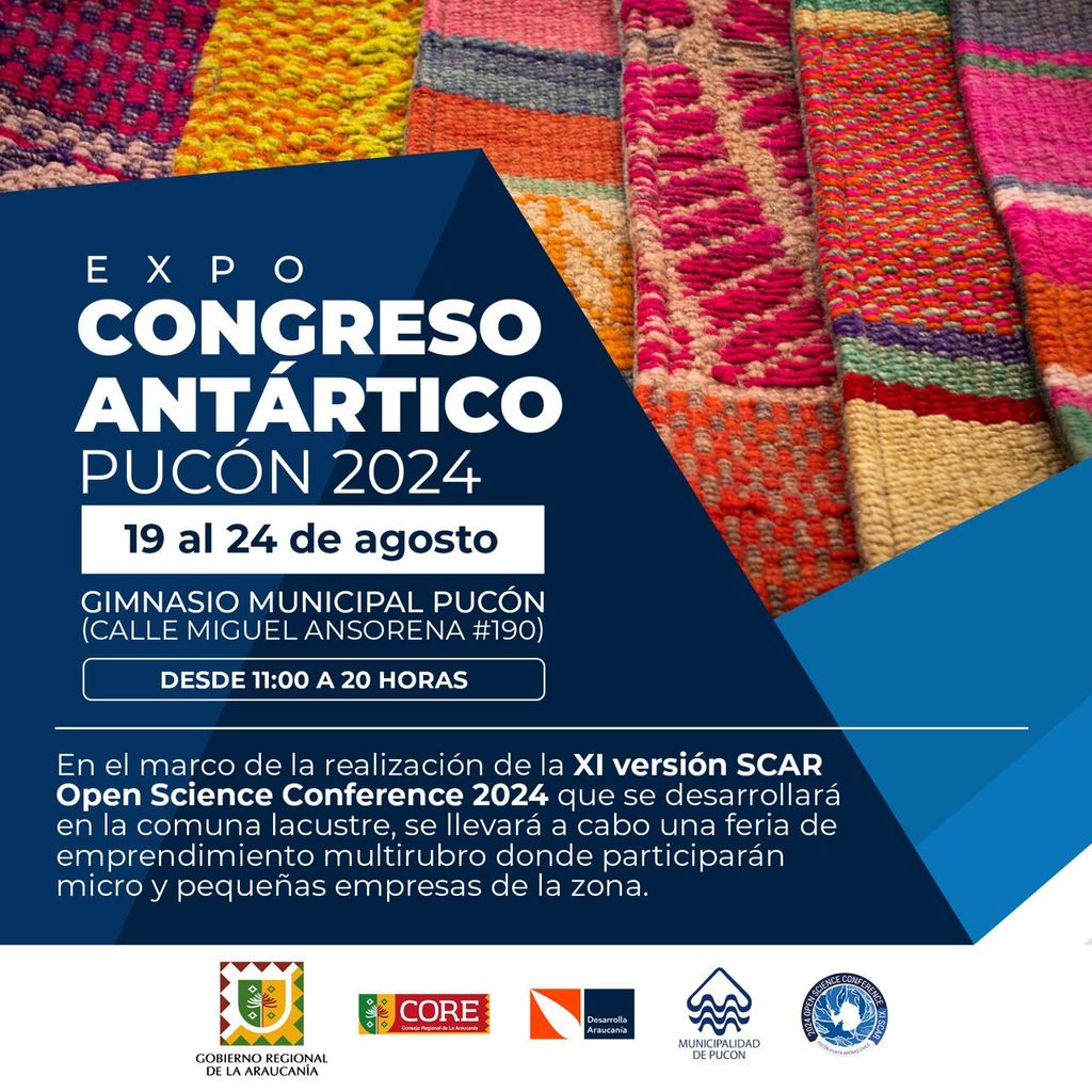 WhatsApp Image 2024-08-16 at 15 WhatsApp Image 2024-08-16 at 15