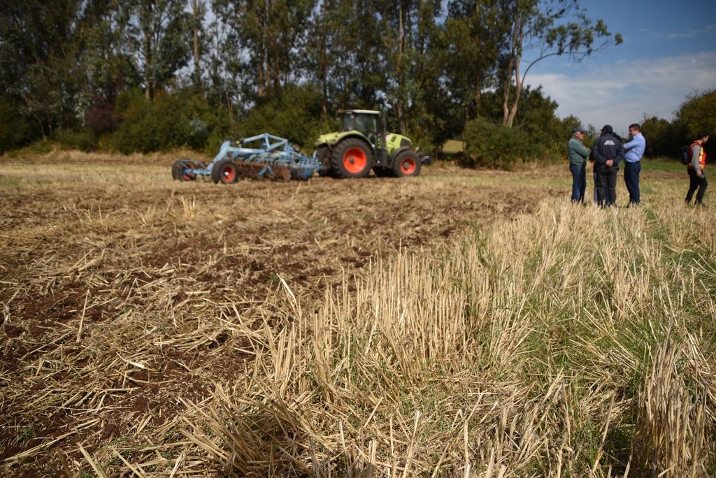 WhatsApp Image 2025-04-09 at 17 WhatsApp Image 2025-04-09 at 17