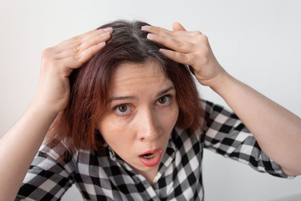 Primeras_canas Primeras_canas