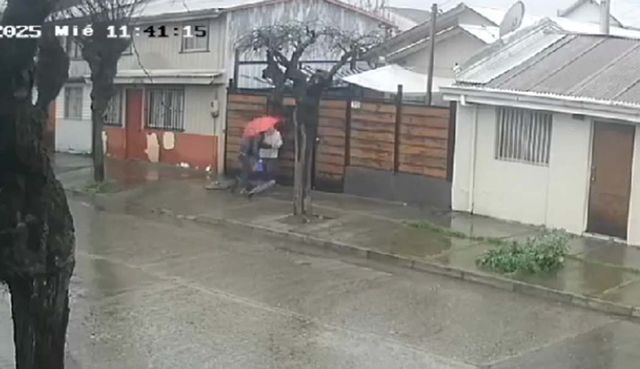 Foto 01