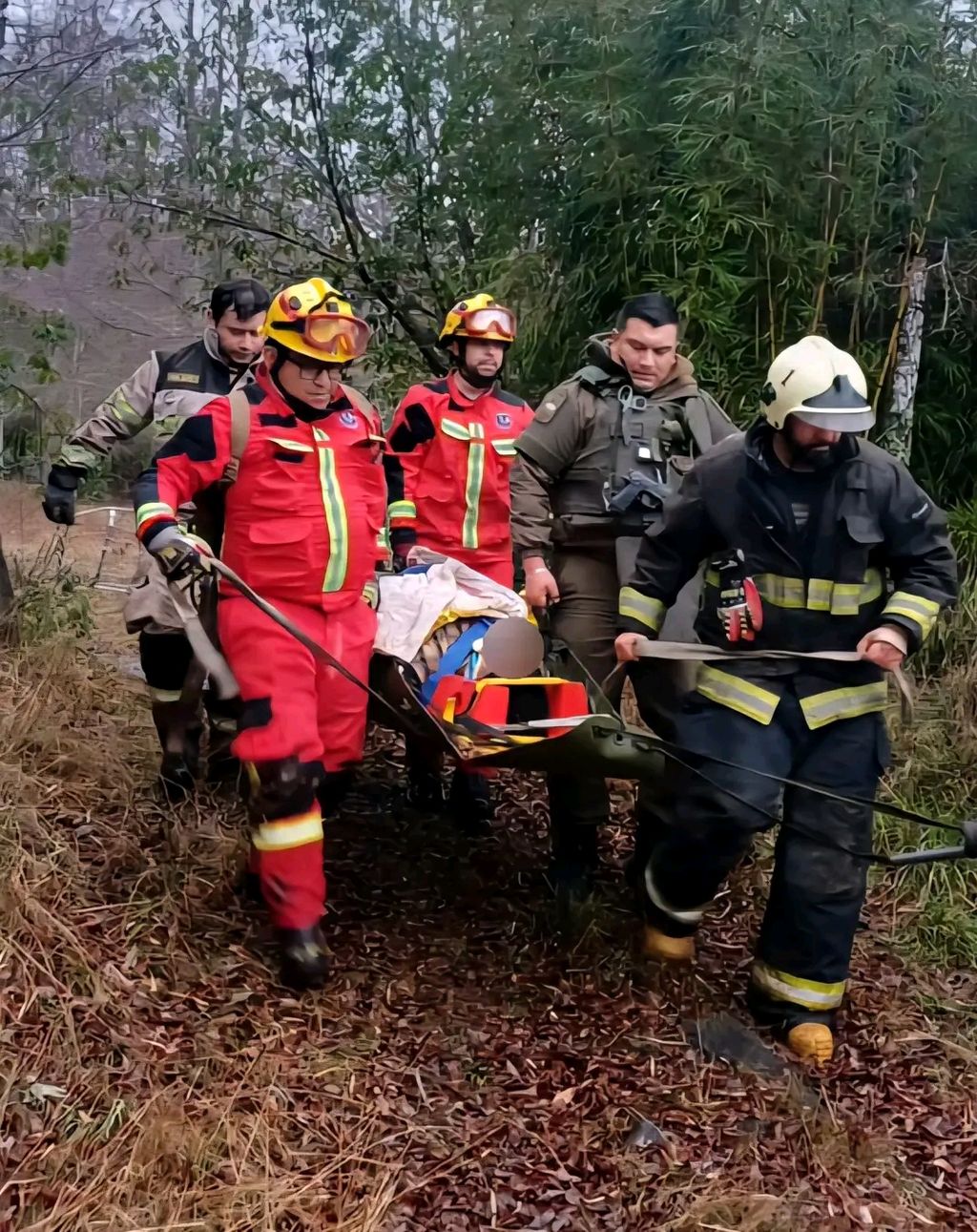 1750456053597 1750456053597