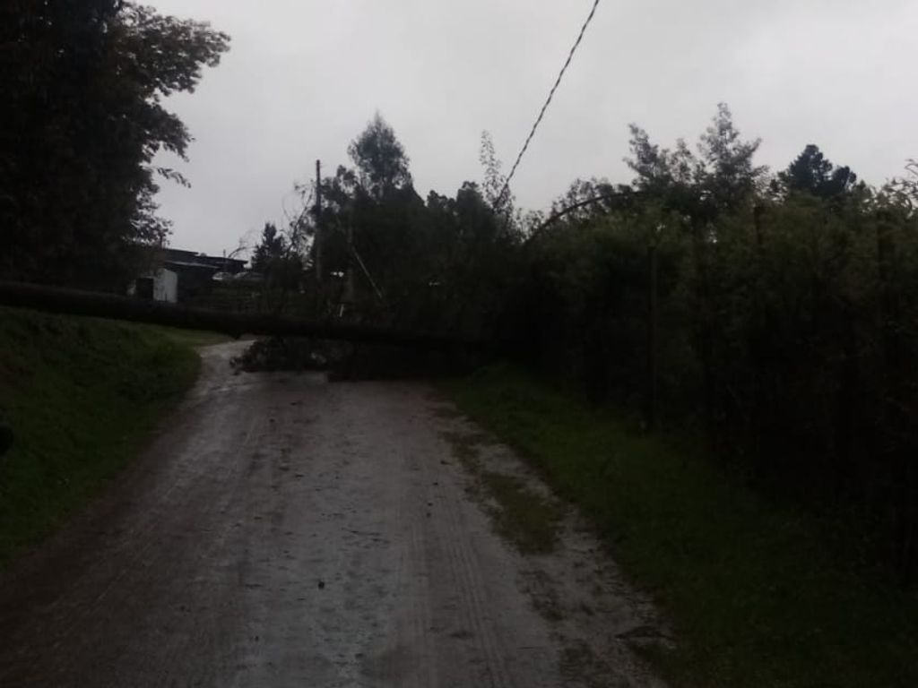 Foto 01
