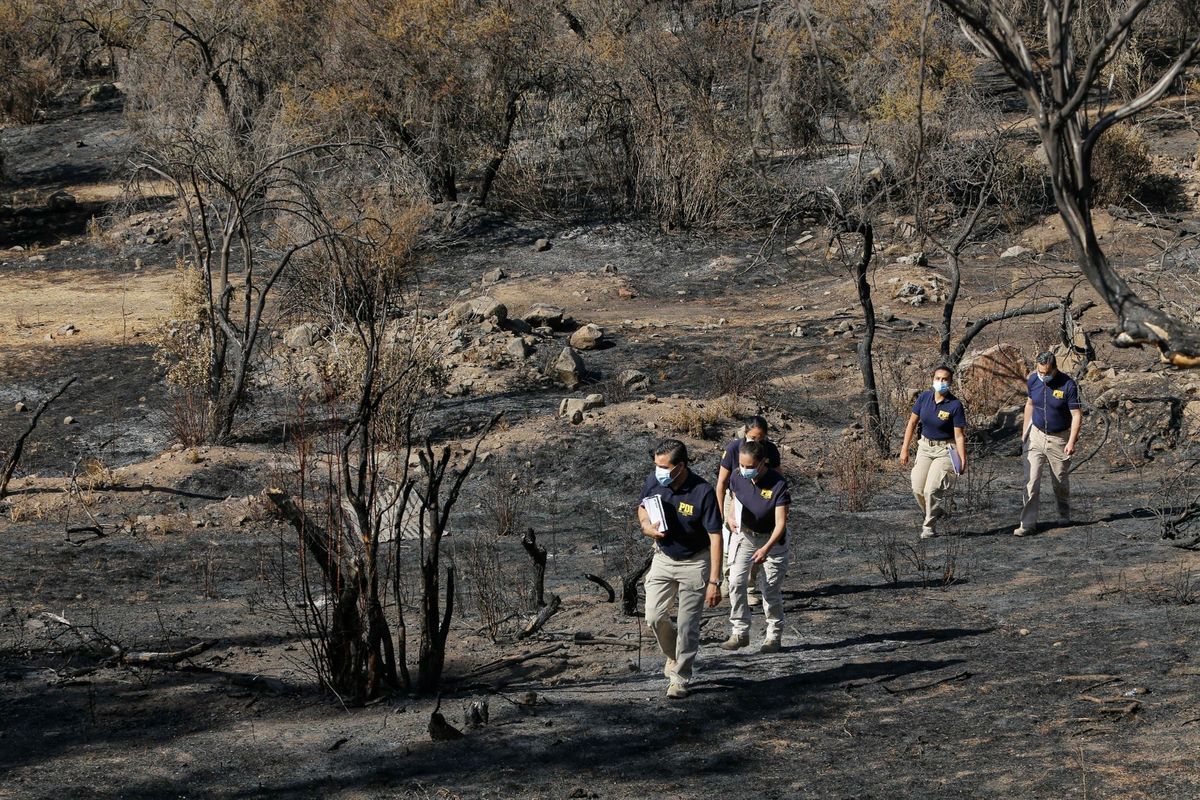 WhatsApp Image 2026-01-07 at 14 WhatsApp Image 2026-01-07 at 14