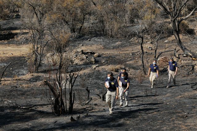 WhatsApp Image 2026-01-07 at 14 WhatsApp Image 2026-01-07 at 14