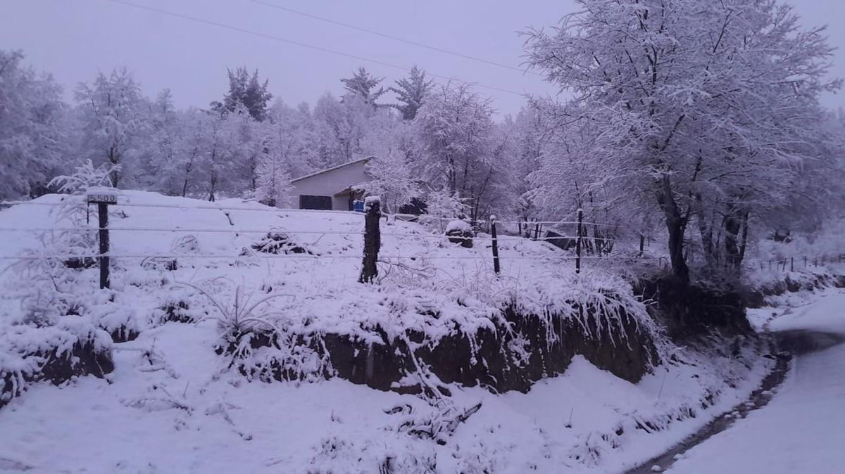 Foto 01