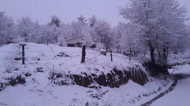 Foto 01