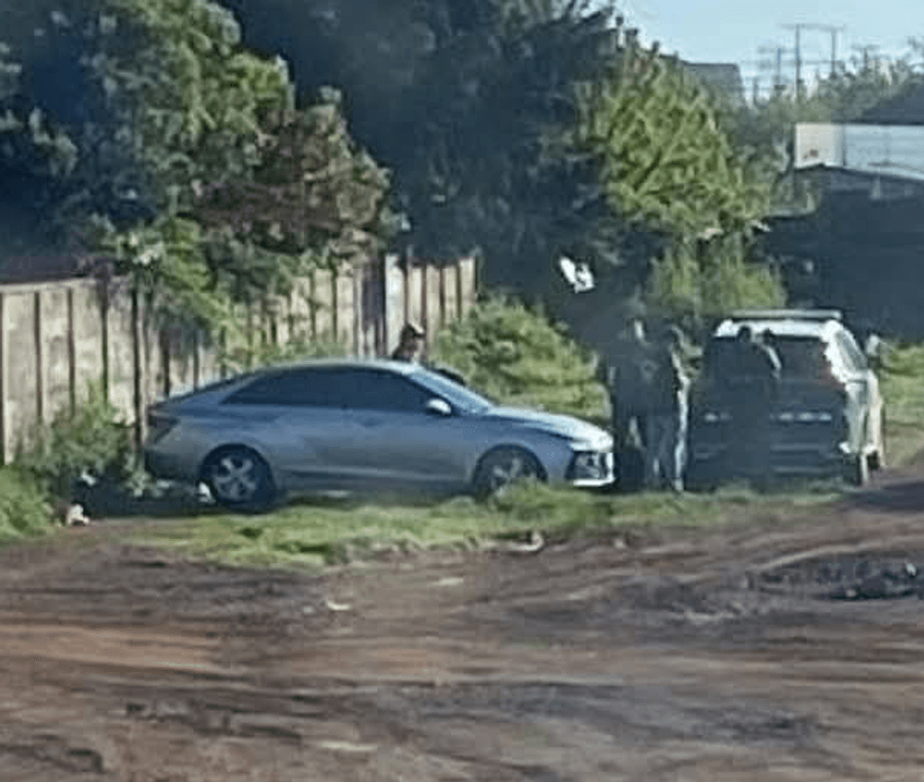 collipulli collipulli