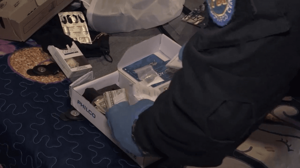 nueva criminalidad nueva criminalidad