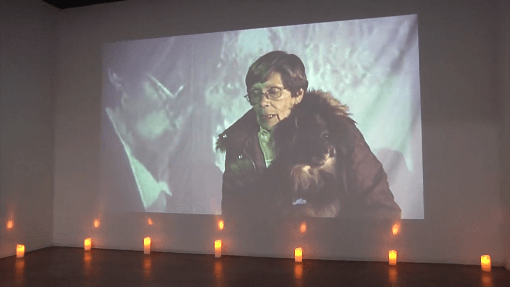 expo 50 años del golpe expo 50 años del golpe