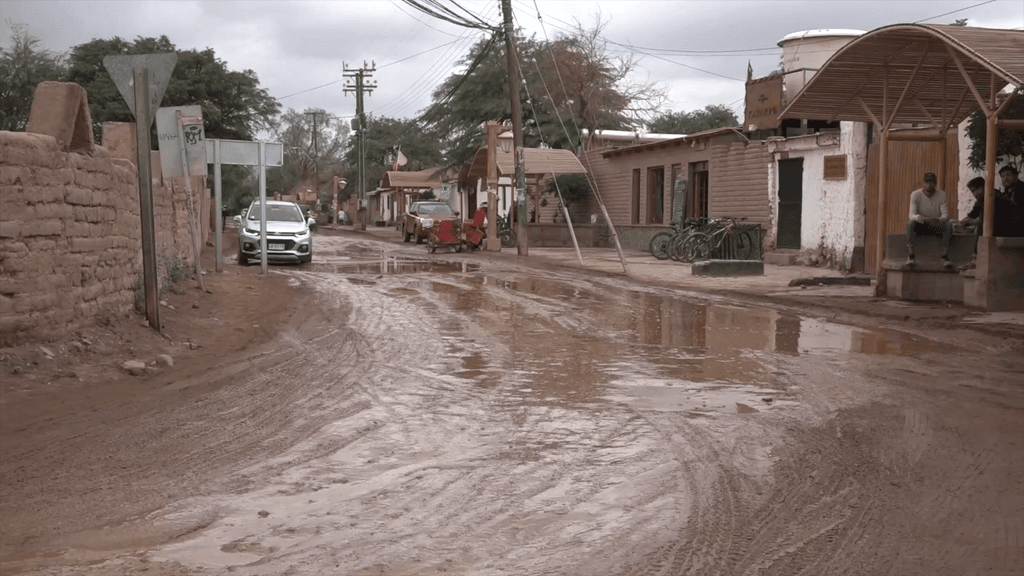 alerta temprana alerta temprana