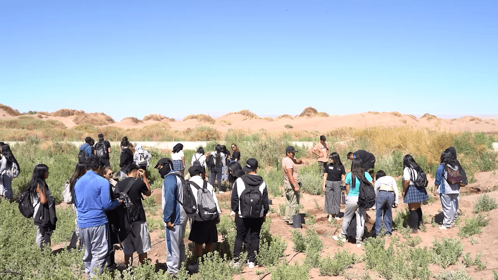 patrimonio patrimonio