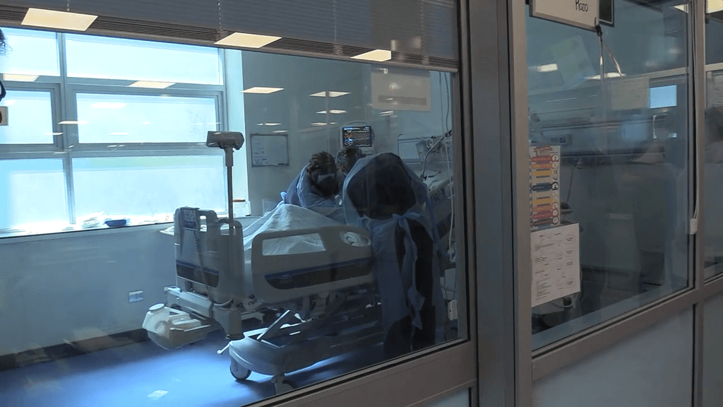 muertes influenza muertes influenza