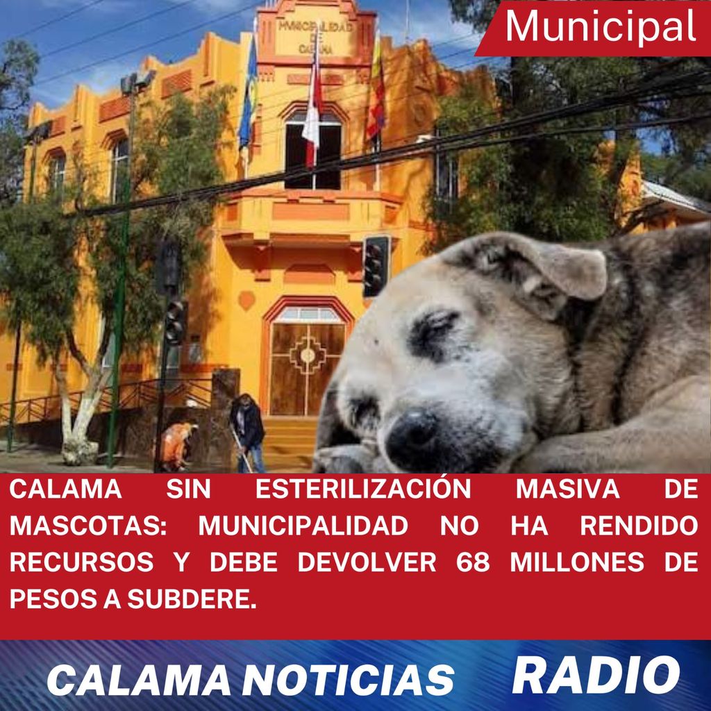 b88c4ccb-0108-414b-8a2b-d68f63a6571f b88c4ccb-0108-414b-8a2b-d68f63a6571f