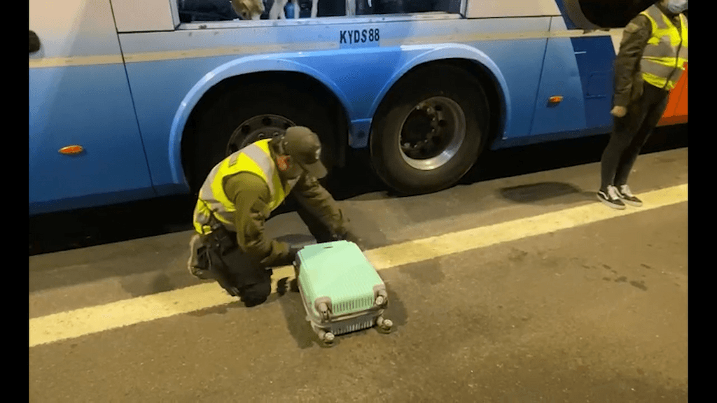 narcoequipaje narcoequipaje