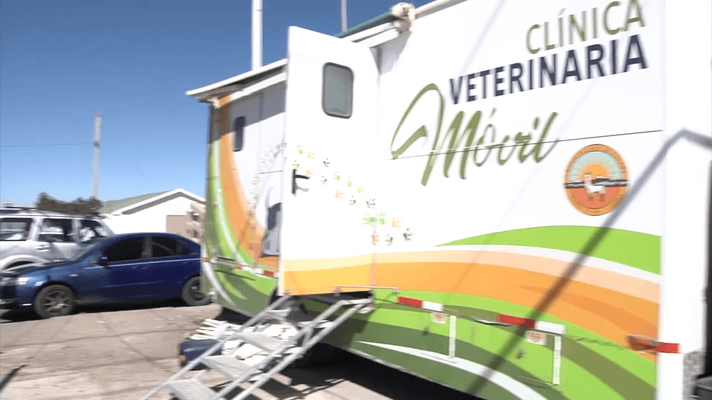 esterlizaciones esterlizaciones