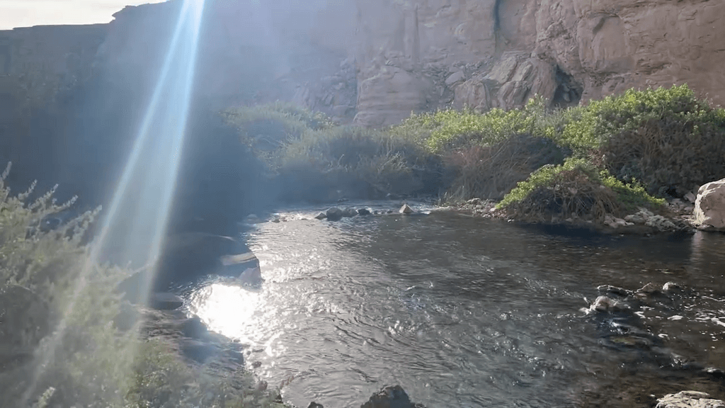 ojo opache ojo opache