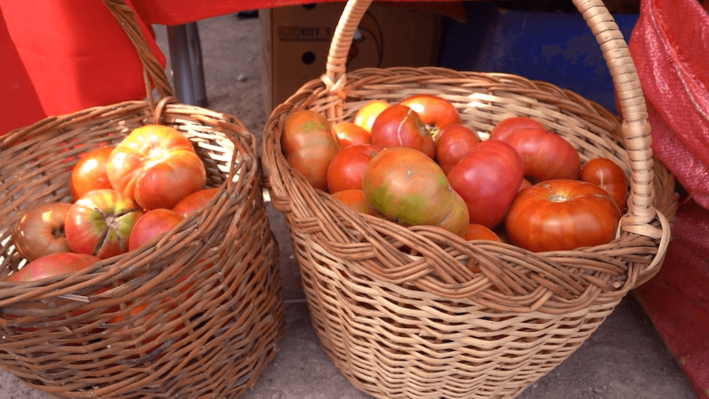 fiesta tomate fiesta tomate