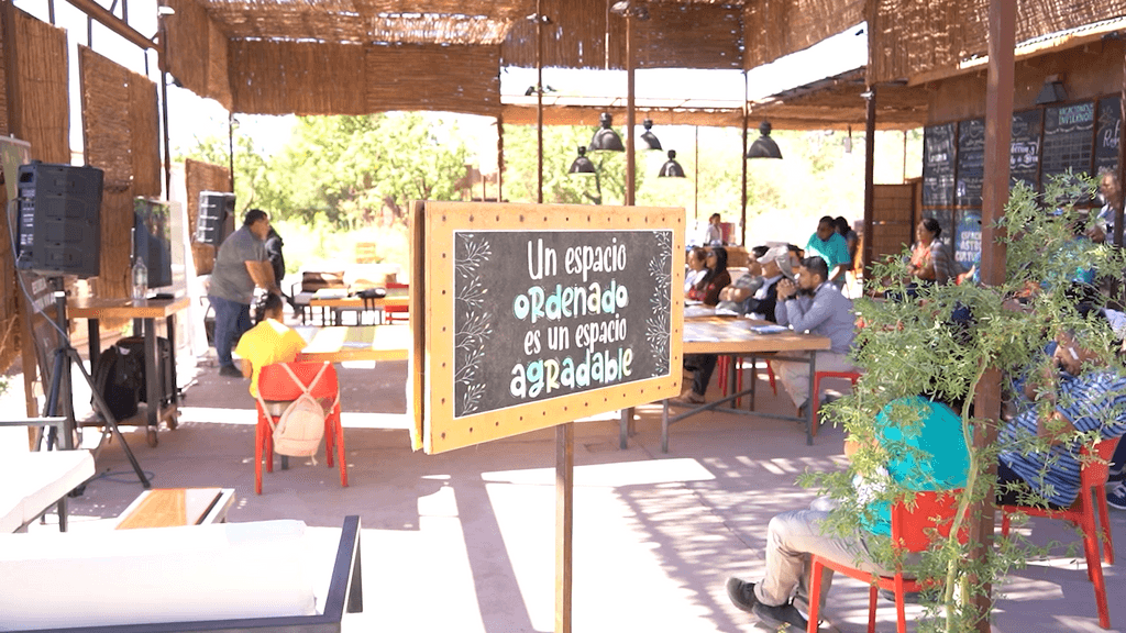 hidroponía hidroponía