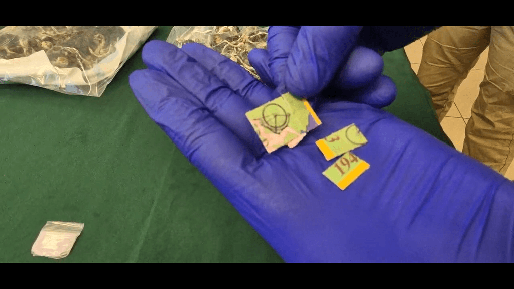 narco delivery narco delivery